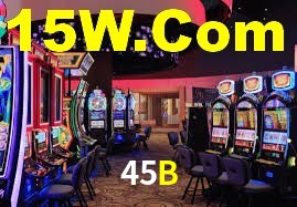45B App Interface